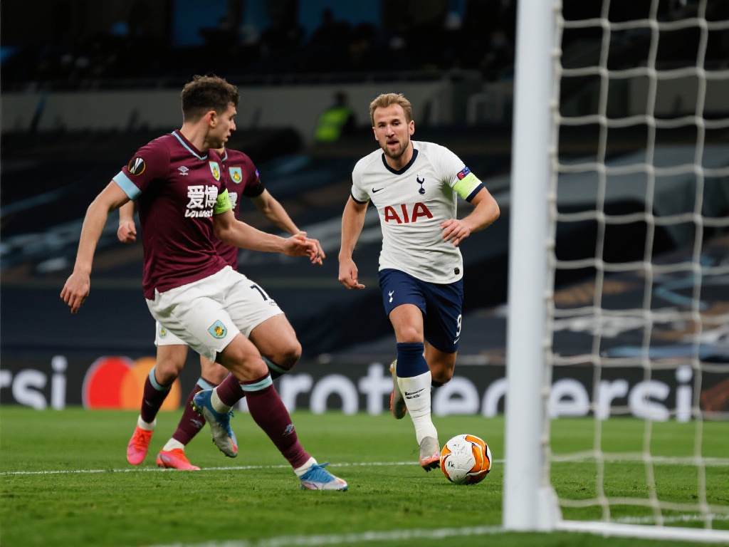 球员家属的 球员家属的